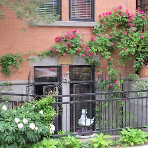 Homestay A Gem Downtown, Montreal